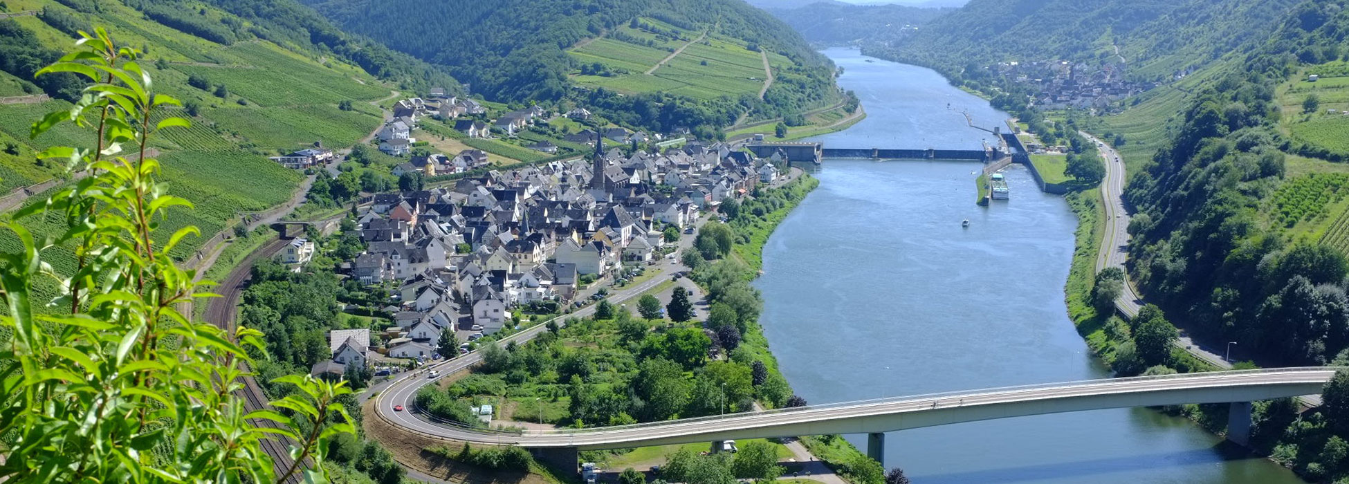 Neef an der Mosel