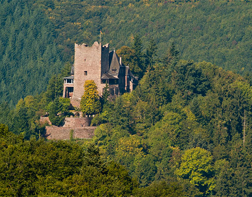 Burg Arras im Herbst