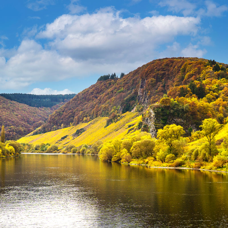 Mosel mit Weinberg im Hintergrund